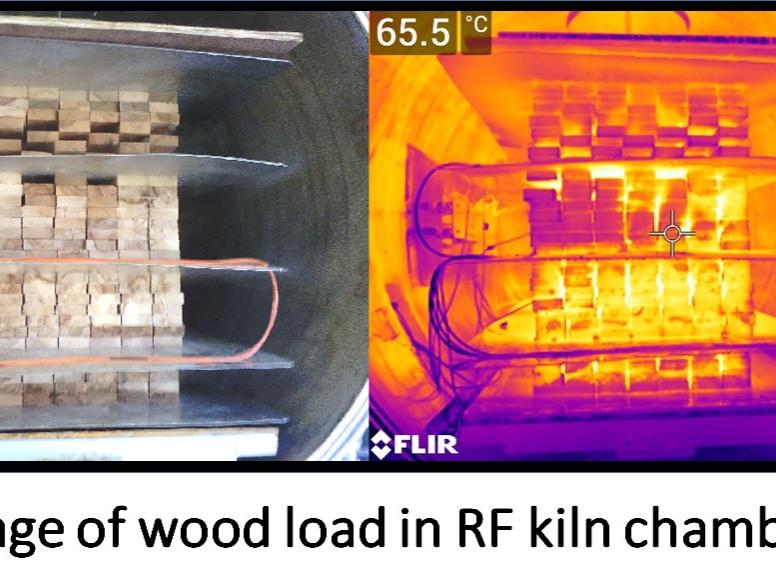 Wood in chamber