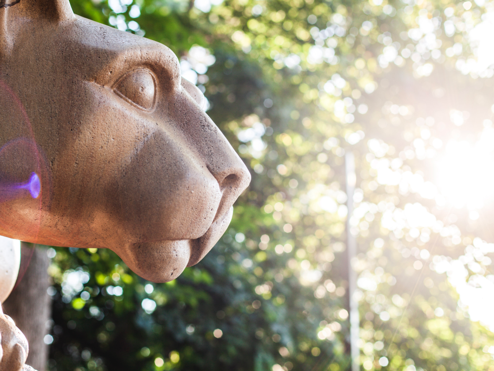 Lion Shrine in morning light