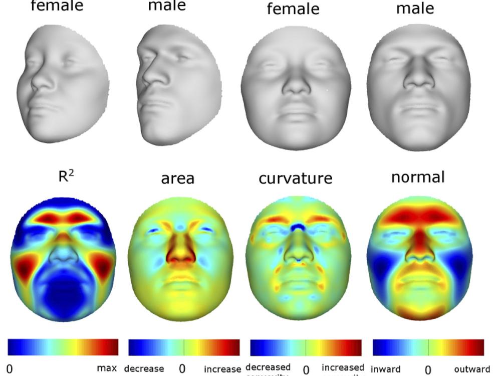 Male to female ration facial images