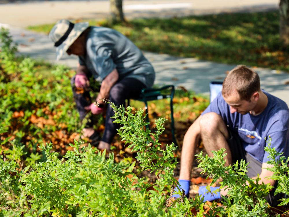 Master Gardeners at Flight 93