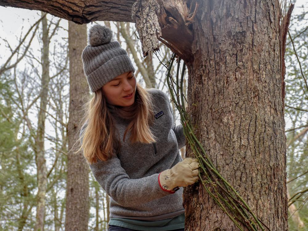 Shaver's Creek SEED semester