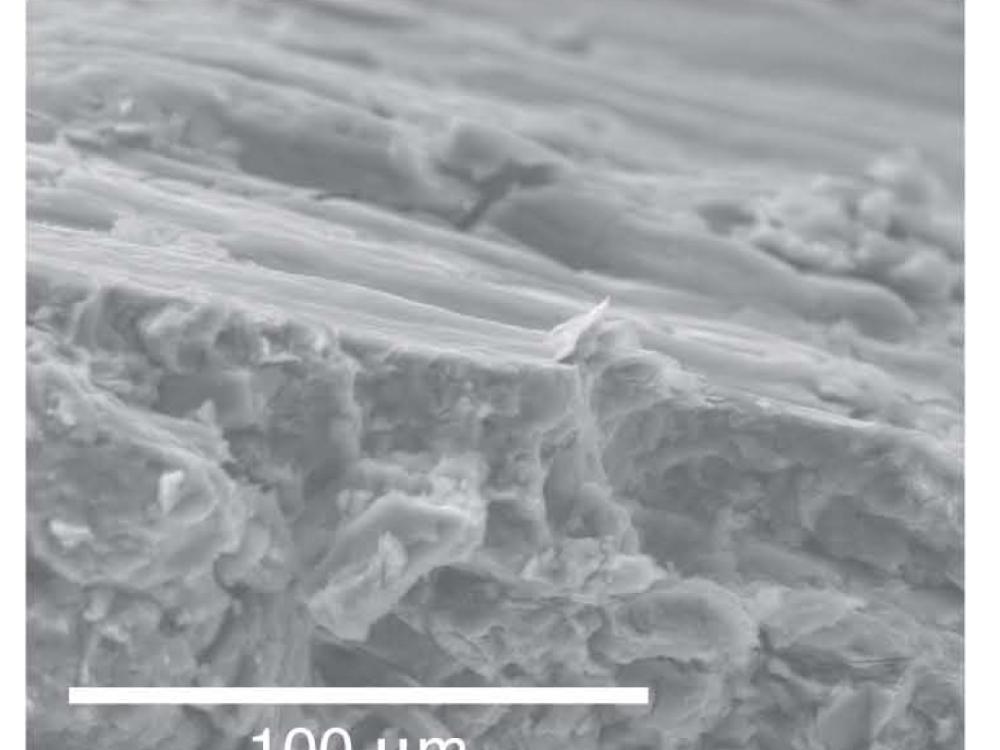 electron microscope image of shear surfaces