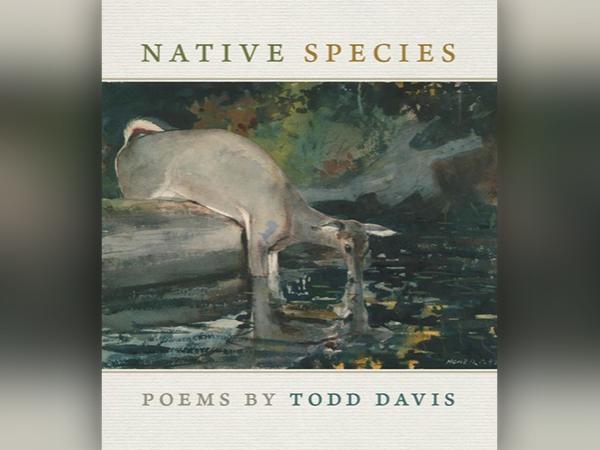 Book Cover: Native Species by Todd Davis