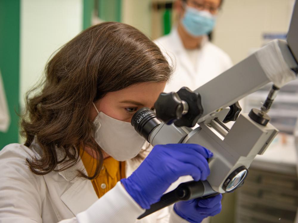 A close up photo a woman with brown hair, a lab coat and blue gloves looking into a microscope. 