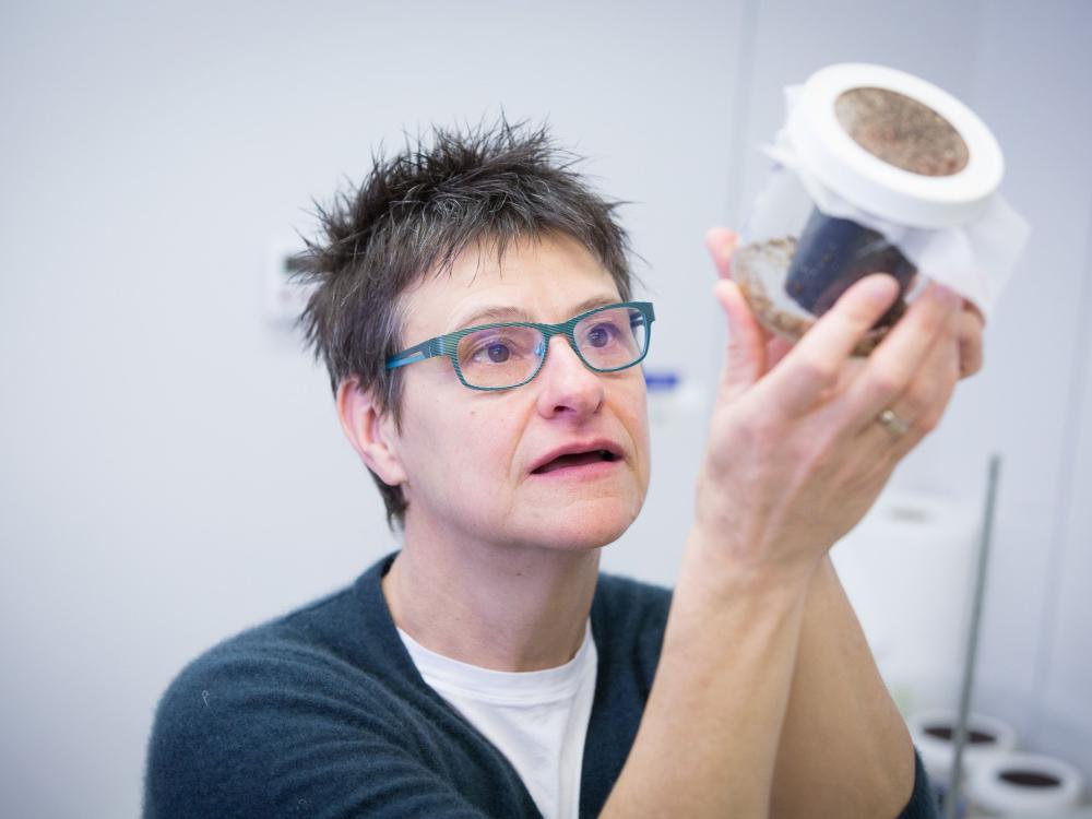 Nina Jenkins with bed bugs