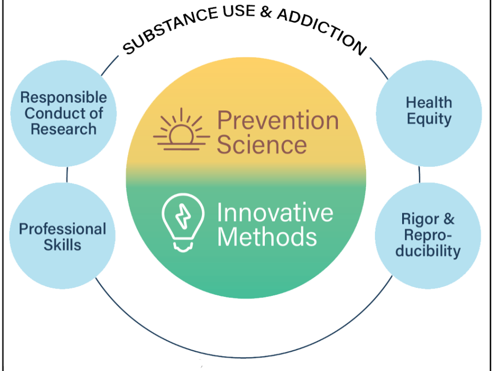 Focus areas of Penn State's Prevention and Methodology Training (PAMT) program