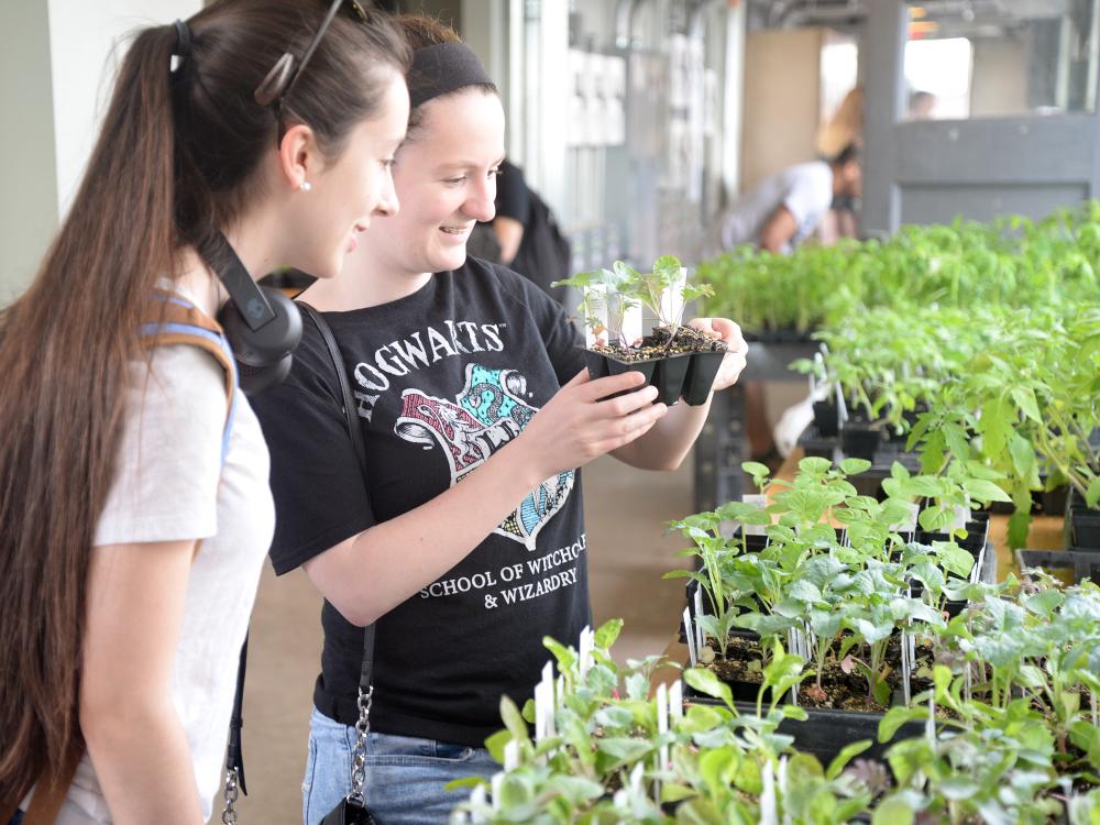 Students check out small plants