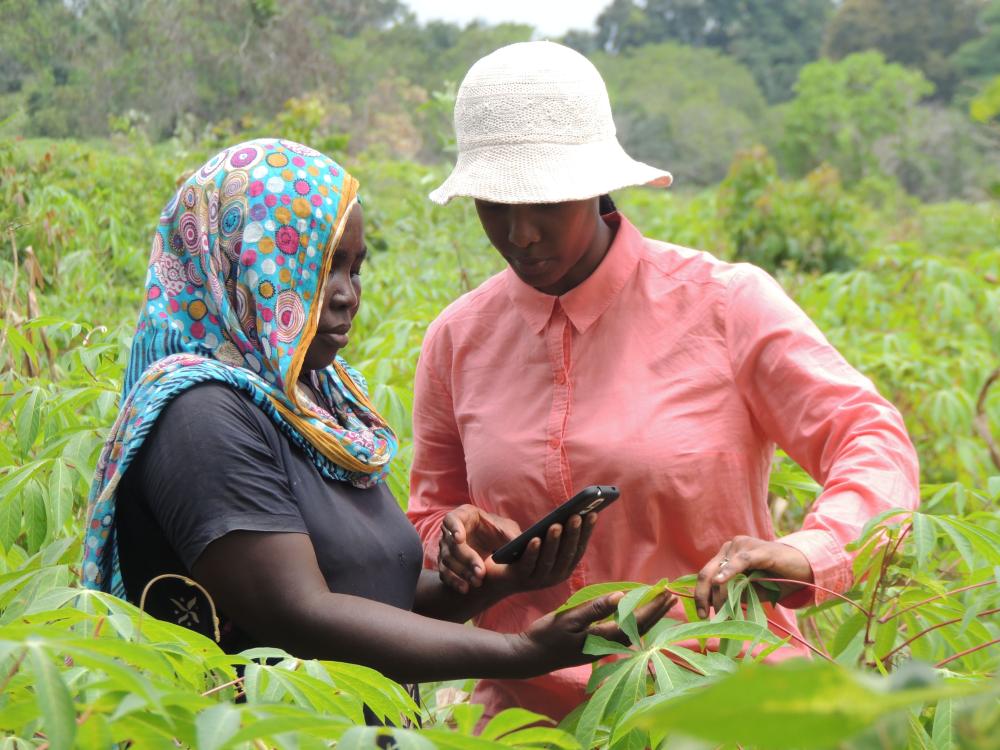 PlantVillage mobile app in Tanzania