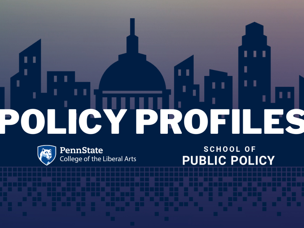 Policy Profiles series title graphic image of Washington, D.C. skyline