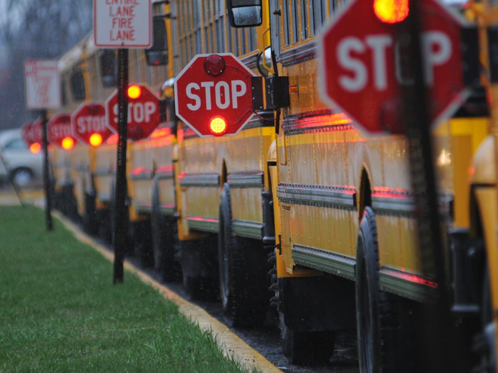 line of school buses