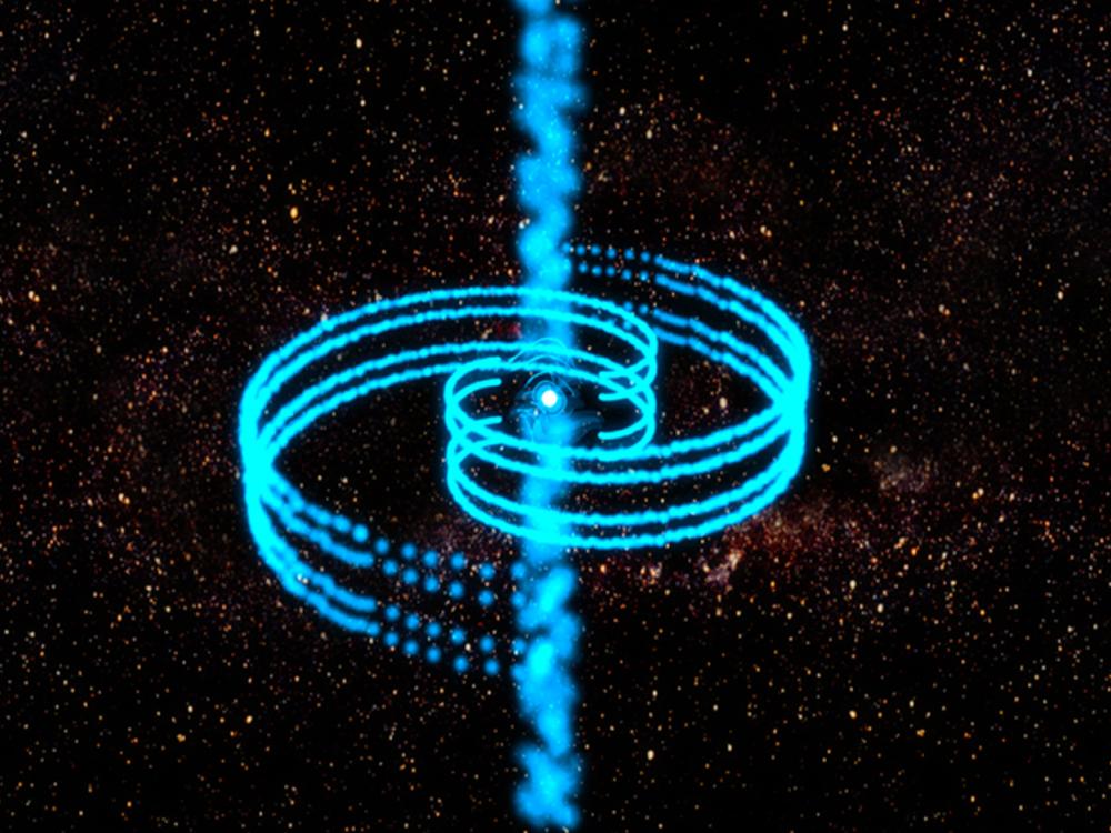 Pulsar Winds