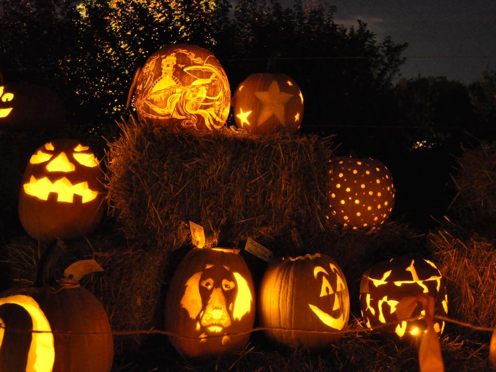 Arboretum Pumpkin Festival 2012 - jack-o'-lanterns