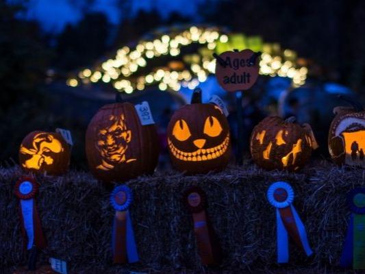 Lighted jack-o'-lanterns at night