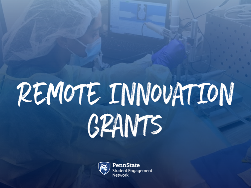 Remote Innovation Grants Student Engagement Network