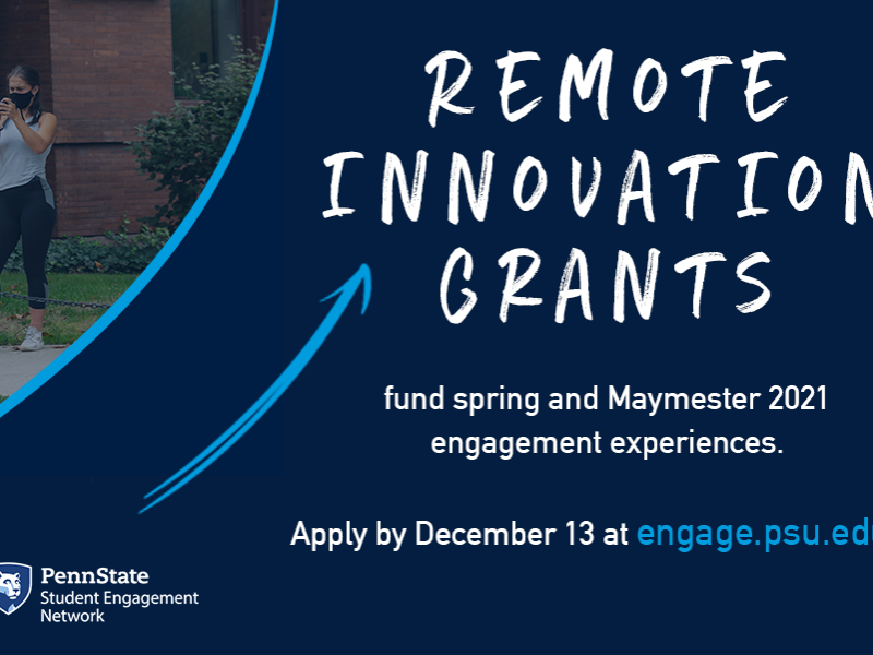 Remote Innovation Grants