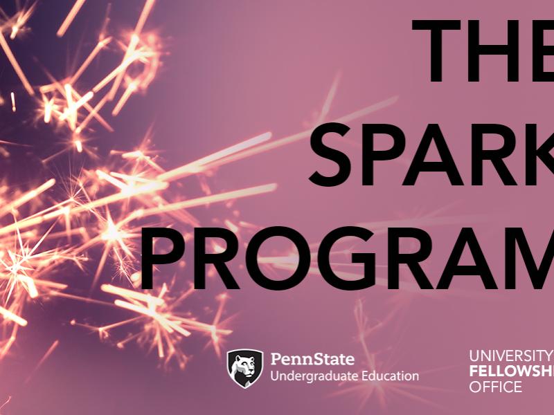 The Spark Program graphic