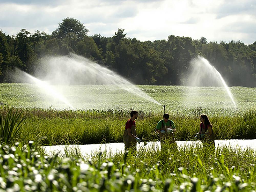 spraying fields at Living Filter