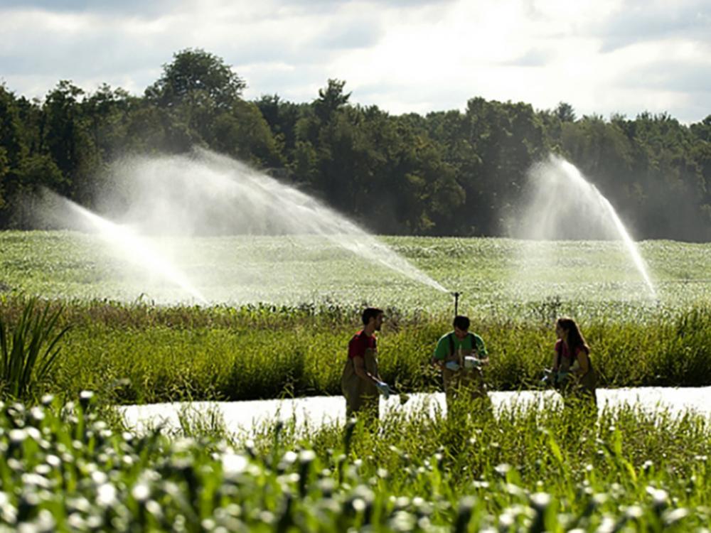 Spray fields at the Living Filter, three people stand near a field with equipment spraying over the fields behind them