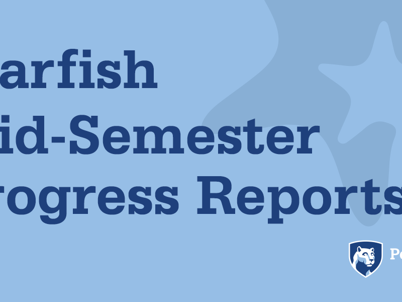 Starfish Mid-Semester Progress Reports