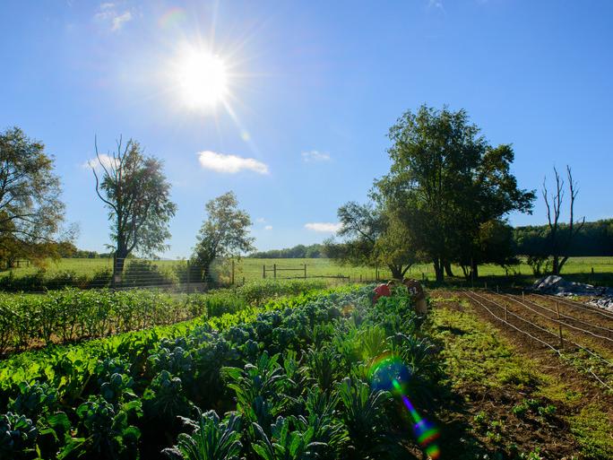 Penn State Student Farm