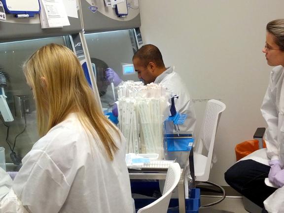 Mackenzie Shipley, Utsav Pandey, and Moriah Szpara in the wet lab