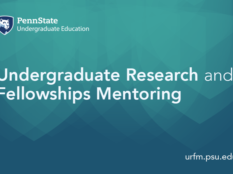 Undergraduate Research and Fellowships Mentoring