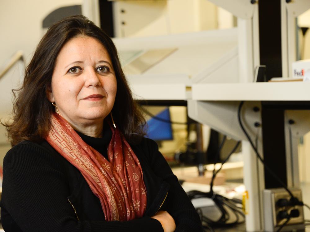 An Arab-American woman stands in a laboratory. 