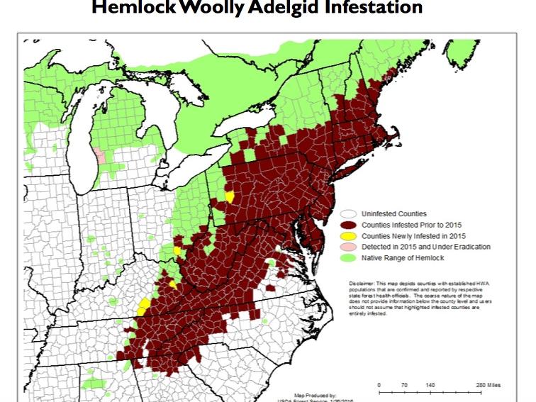 map of adelgid infestation