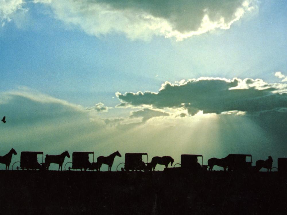 horizontal silhouette of several Amish horse-drawn buggies against a sun, cloud and blue sky background