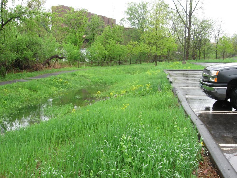 parking lot edge with car, grass and water filled basin by road