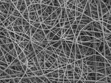 fibers