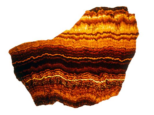 The mineral sphalerite 