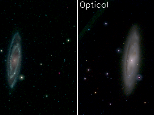 The galaxies spiral arms — where new stars are being born — stand out in the ultraviolet wavelengths emitted by these hot objects.