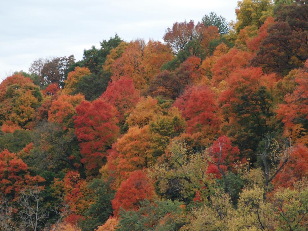pretty mountainside