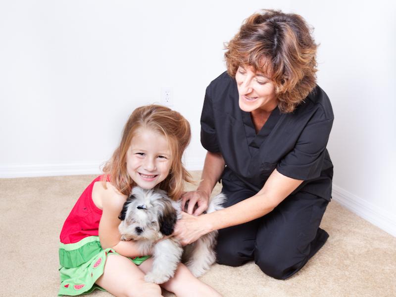 Animal pet therapy