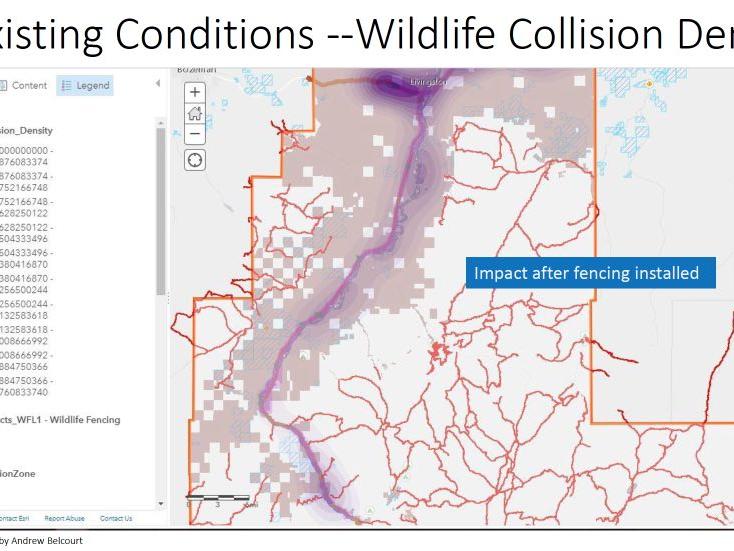 Design proposal to install wildlife fencing shows likely reduction in the frequency of wildlife and vehicle collisions where it is installed.