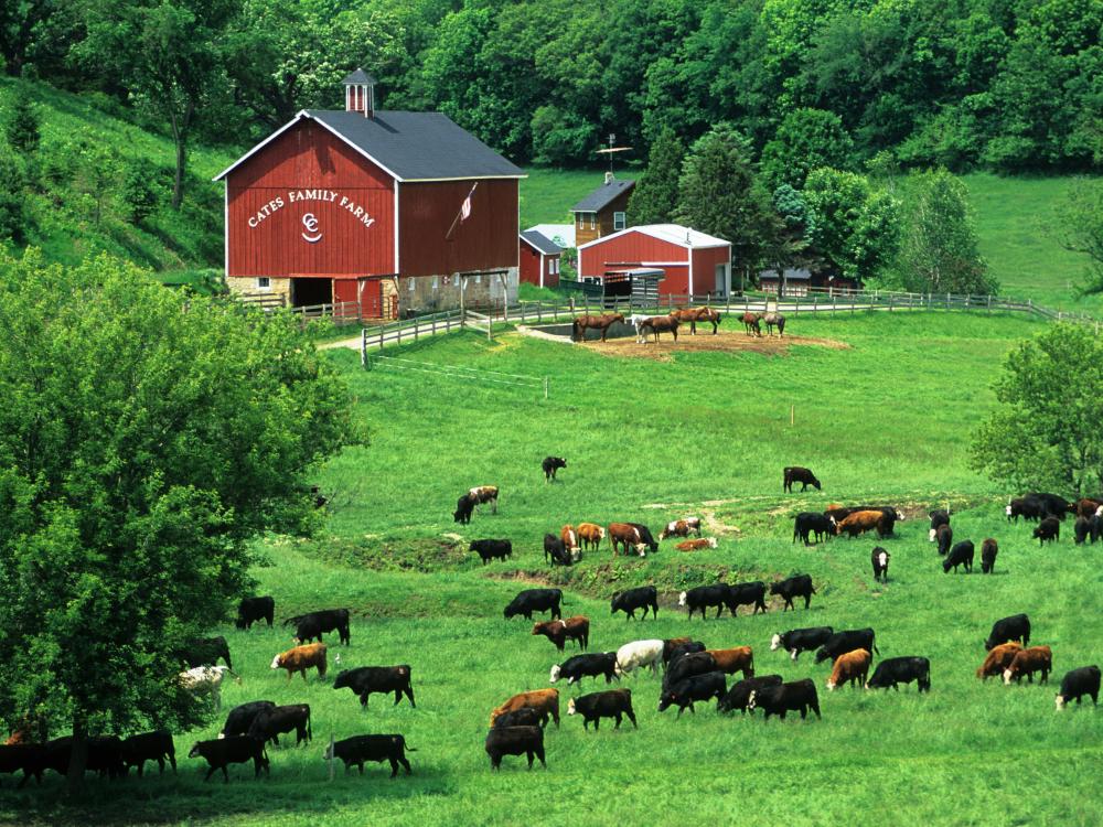 Wisconsin farm