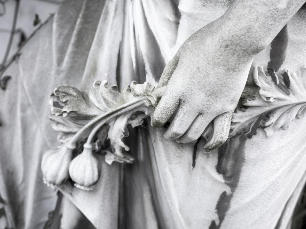 stone hand and poppy pods