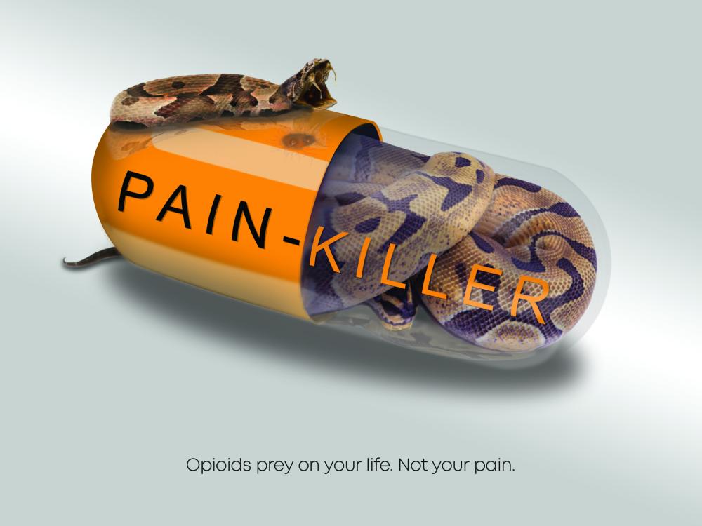 snake inside painkiller capsule ready to strike