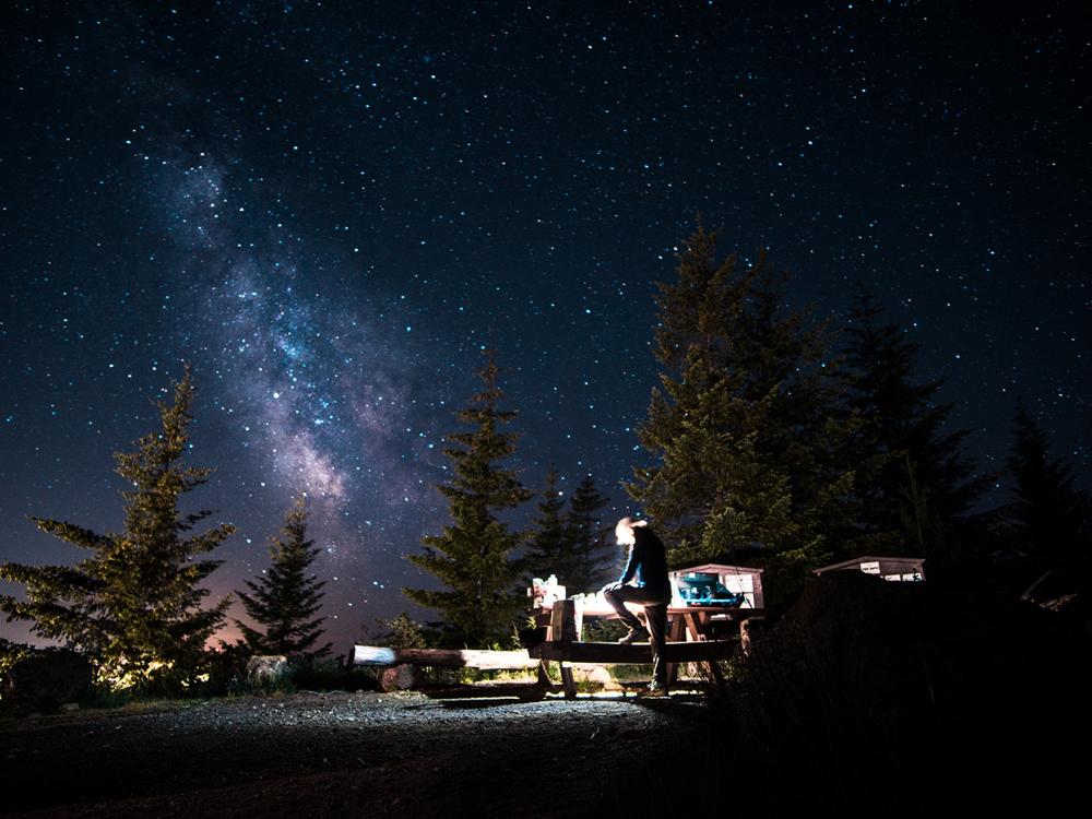 Sam Reiser, stars