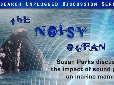 back of whale surfacing above ocean waves