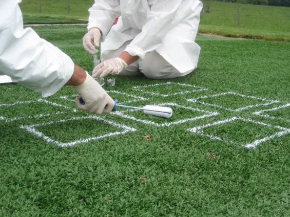 applying staph pathogens