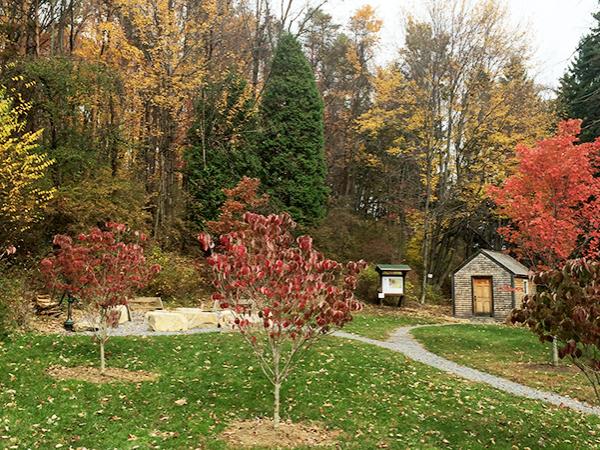 Thoreau Cabin and Seminar Forest at Penn State Altoona