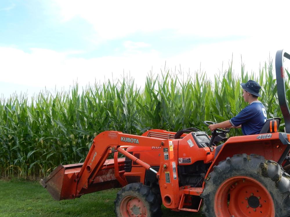 in front of corn