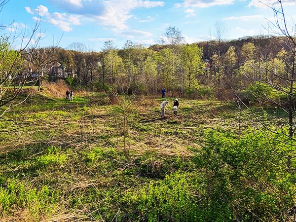 students, professors, alumni, and community members participate in a native planting initiative in Tipton, PA.