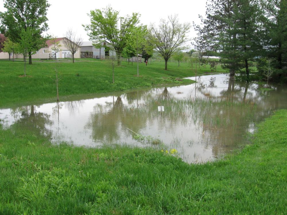 basin completely filled with water behind a structure with trees