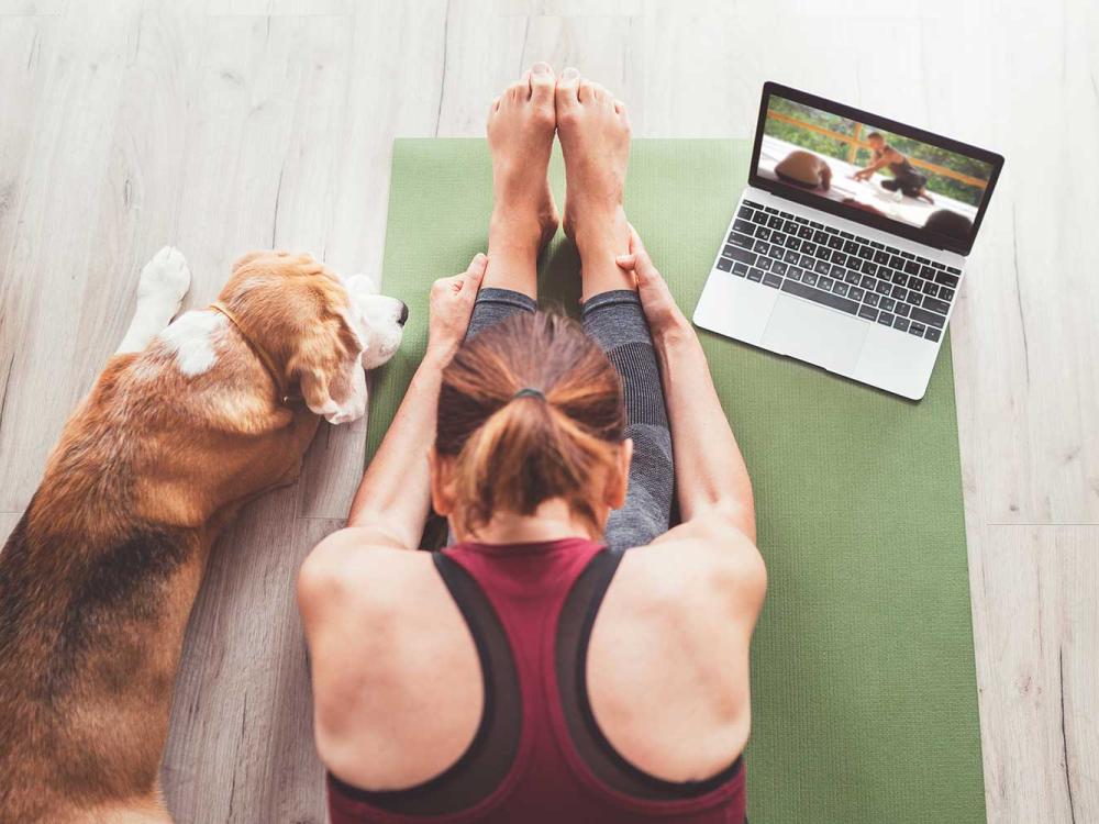 Woman doing online yoga with dog by her side