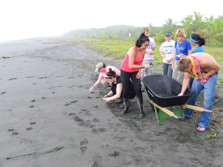 students on a beach in Panama releasing turtles