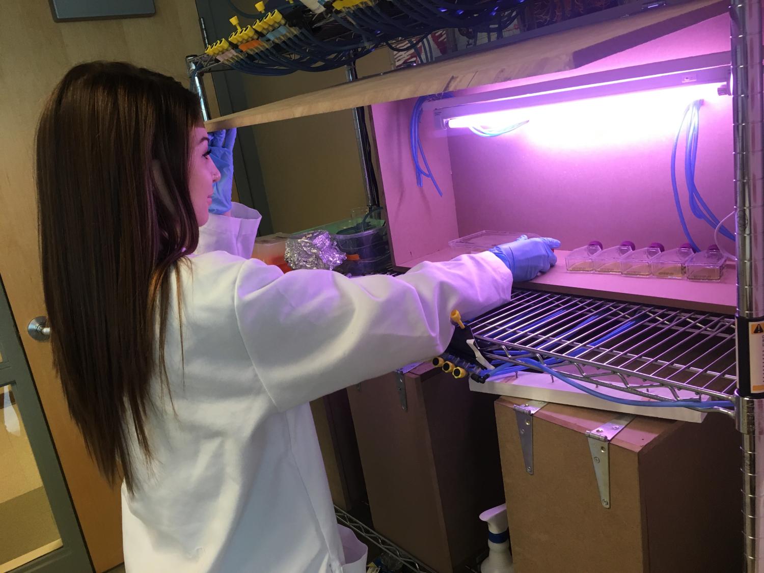 Amanda Geis algal growth for biofuel production