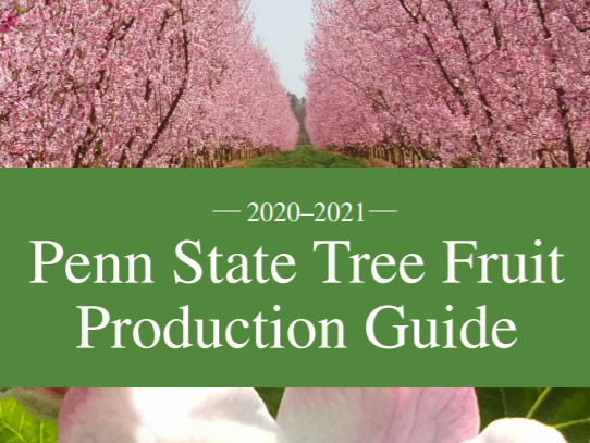 Tree Fruit guide